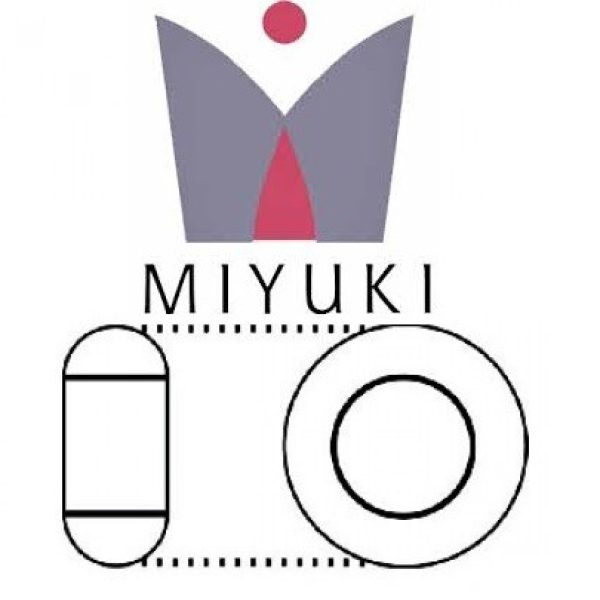 Miyuki Seed Beads - Rocailles
